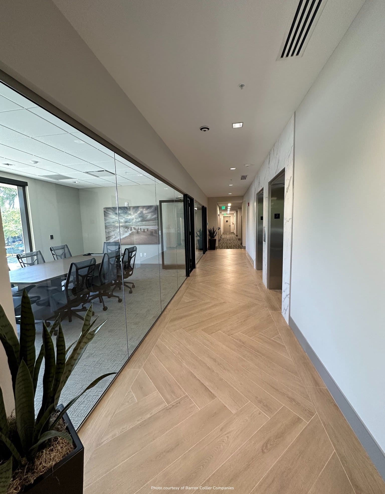 Long glass-walled corridor with herringbone wood floor, conference room visible through glass left, doors and elevators at far end, snake plant in foreground.