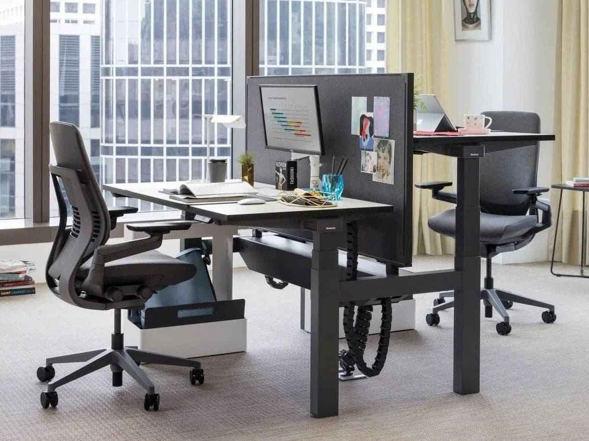 Steelcase Gesture chairs at sit-stand desks by city windows