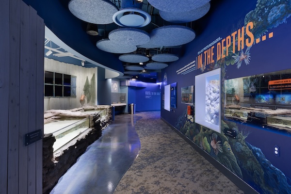 commercial-flooring-is-the-foundation-6