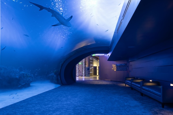 ofdc-major-installation-at-mote-sea-sarasota