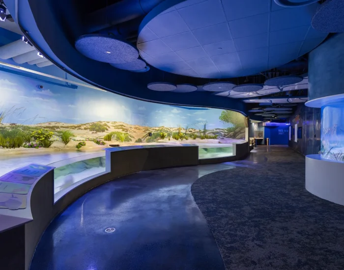 023_MOTE_WillisSmith_RyanGammaPhotography