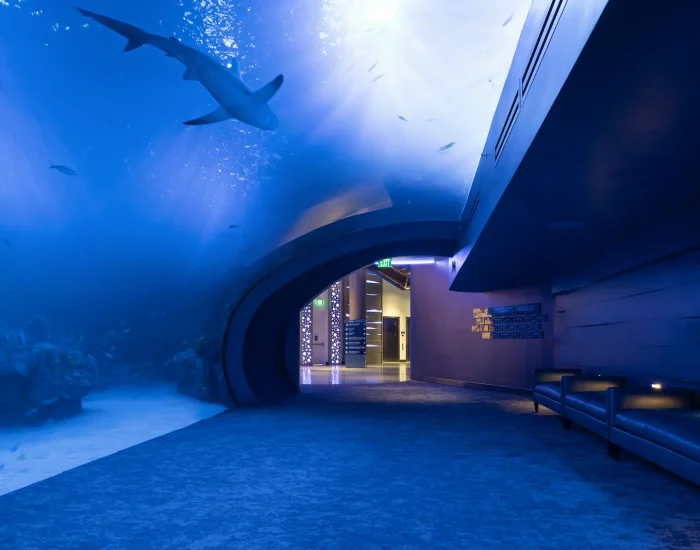 027_MOTE_WillisSmith_RyanGammaPhotography